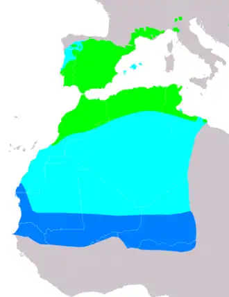 Description de l'image OenantheHispanicaIUCNver2019-3.png.
