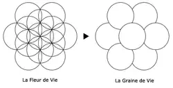 Œuf de Vie