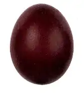 œuf de Marans