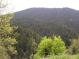 Vue du sommet.