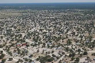 Maun