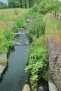 Échelle à poissons.