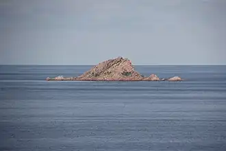Île de Molarotto