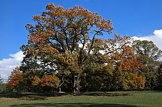 Florham Park