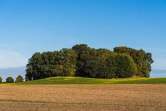 Horst (Lauenbourg)