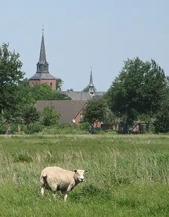 Oldenswort