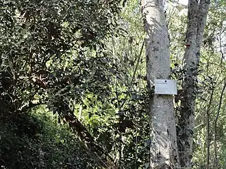 Description de cette image, également commentée ci-après