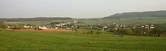 Olingen
