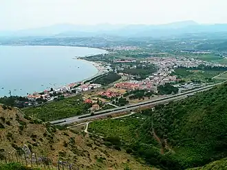 Oliveri