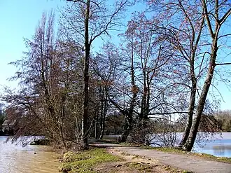Promenade du sentier des Prés, Olivet.