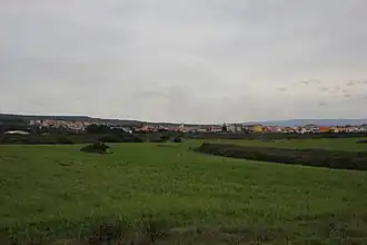 Olmedo (Italie)