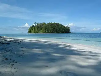 Paysage des Îles Salomon.