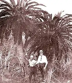 Les spécimens sauvages originels