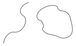 Corde ouverte (segment) et corde fermée (boucle)