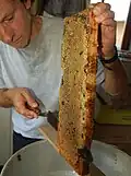 Désoperculation d'un cadre avant l'extraction du miel&nbsp;(en)