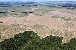 Déforestation en Amazonie brésilienne en 2016