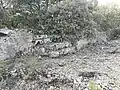 Escaliers protohistoriques taillés (âge du fer ?), dans la partie Sud-Est.