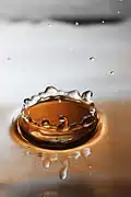 Impact d'une goutte sur de l'eau calme.
