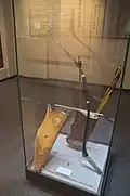 Réplique de l'arc de Gengis Khan, XIIIe siècle