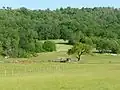 Massif de l'Arbre près de Fontéchevade.