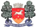 Blason de Orhei