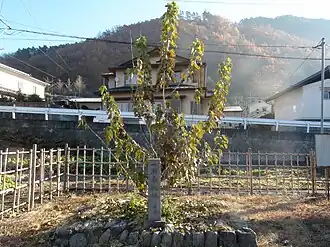Mitama (Yamanashi)