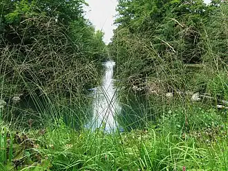 Source du Bouillon,parc floral de la Source.