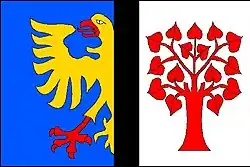 Drapeau de Orlová