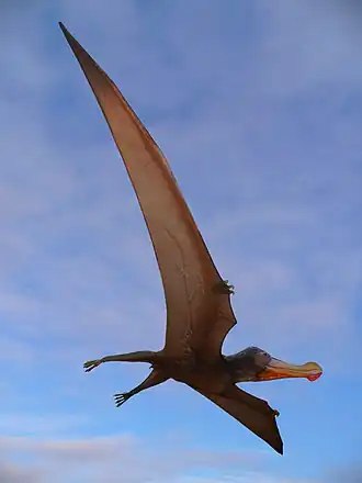 Vue d'artiste d'Ornithocheirus robustus.