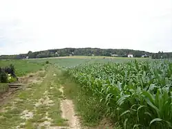 Vue sur le mont de l'Enclus.