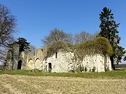 Ruines de l'église Notre-Dame.