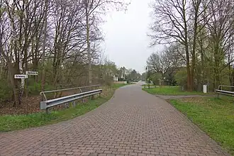 Lindwedel