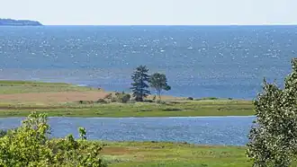 Orwell Cove