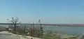Vue sur le Danube