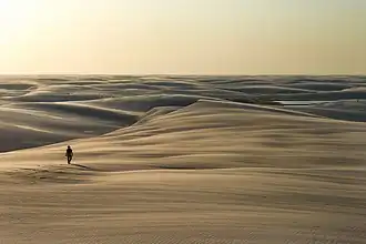 Dunes dans le parc.