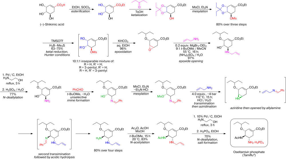 synthèse du Tamiflu