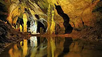 Colonnes stalagmitiques et gour dans la grotte d'Osselle.