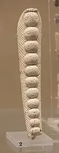 Os à globules. Âge du bronze ancien, culture de Castelluccio XXIIe / XVe&nbsp;siècles&nbsp;av. J.-C.