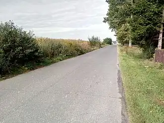 Ostrożeń Drugi