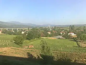 Otovitsa