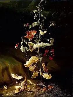 Nature morte de fleurs, 1650-1678Fitzwilliam Museum