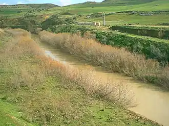 Ouled Abbes