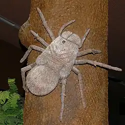Ancienne reconstitution inexacte de Megarachne servinei en tant qu'araignée.