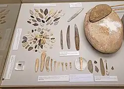 Photo des différents artefacts présentés derrière une vitrine..
