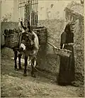 Une femme et son âne ans la région de Plouharnel vers 1885.