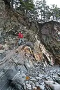 Anticlinal dans la Halifax fm. (Nouvelle-Écosse, Canada)