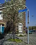 Plaque de rue Theodoor Schaepkensstraat.