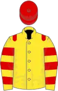 Yellow, red epaulets, hooped sleeves, red cap