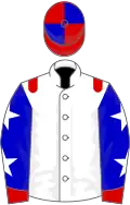 White, red epaulets, blue sleeves, white stars, red cuffs, red and blue quartered cap