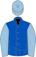 Royal blue, light blue sleeves and cap